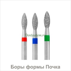  Боры формы Почка