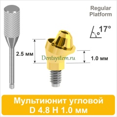 Мультиюнит угловой 17° совместимый с Nobel Active CC RP [D 4.8 мм; H 1.0 мм] (арт. 07MU1710RG)