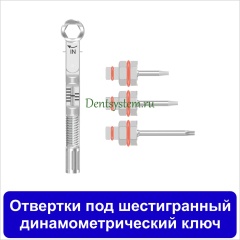 Отвертки под шестигранный динамометрический ключ