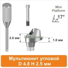 Мультиюнит угловой 17° совместимый с Osstem Mini [D 4.8 мм; H 2.5 мм] (арт. 11MU1725M)