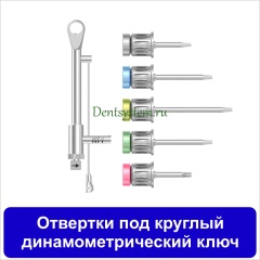 Отвертки под круглый динамометрический ключ