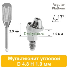 Мультиюнит угловой 17° совместимый с Nobel Active CC RP [D 4.8 мм; H 1.0 мм] (арт. 07MU1710R)