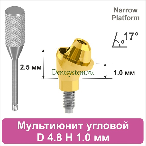 Мультиюнит угловой 17° совместимый с Nobel Active CC NP [D 4.8 мм; H 1.0 мм] (арт. 07MU1710NG)